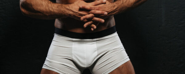 boxer