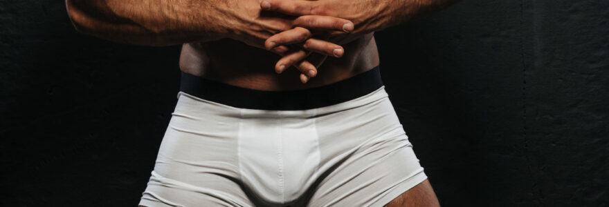 boxer